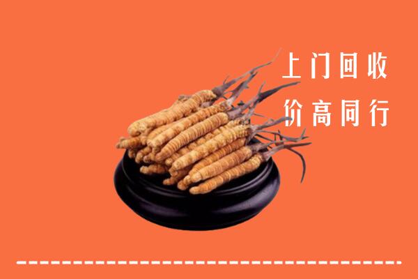 收购行情：岗巴县冬虫夏草回收多少钱每克