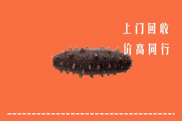 收购行情：岗巴县回收海参